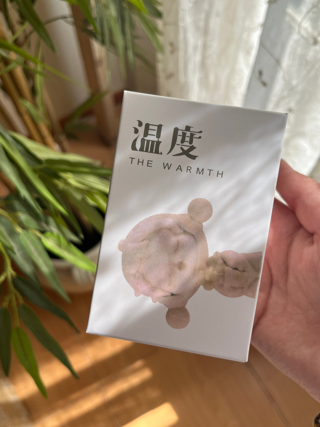 Skullpanda blind box